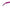 Nascita Eğilimli Eyeliner Fırçası NASBRUSH0010